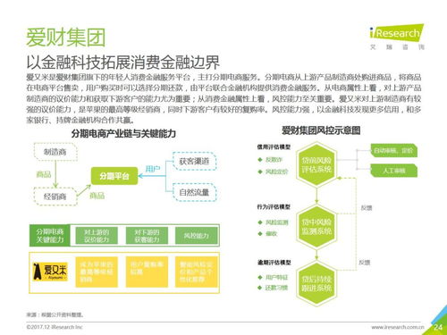 2017年中国互联网消费金融行业发展报告 放贷规模激增904.0%的背后