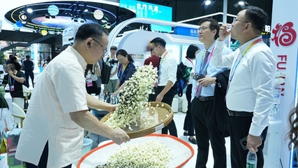 闽榕茶业亮相第四届中国-非洲经贸博览会，推动茶业经贸合作新篇章